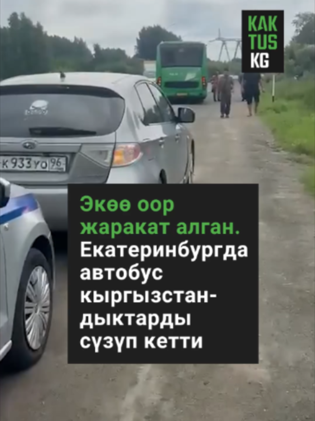 @Kaktus KG