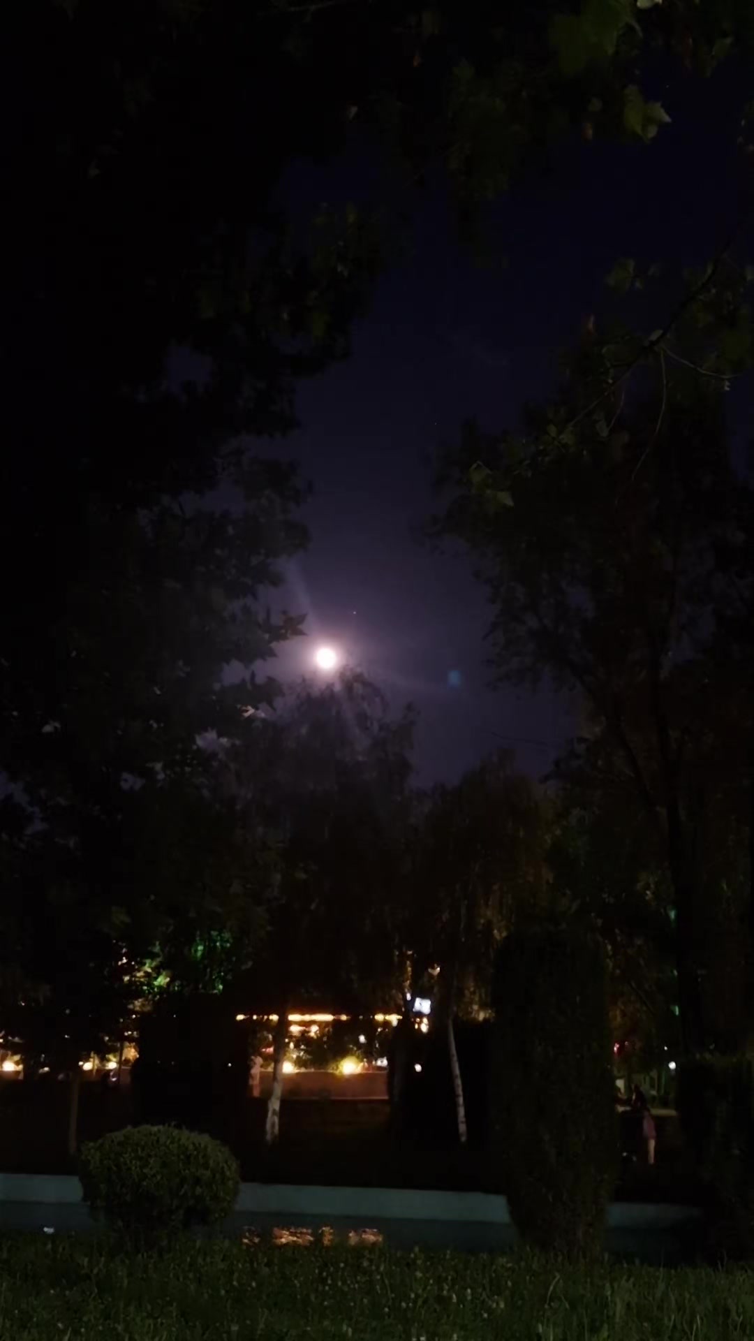 @manzaramankara