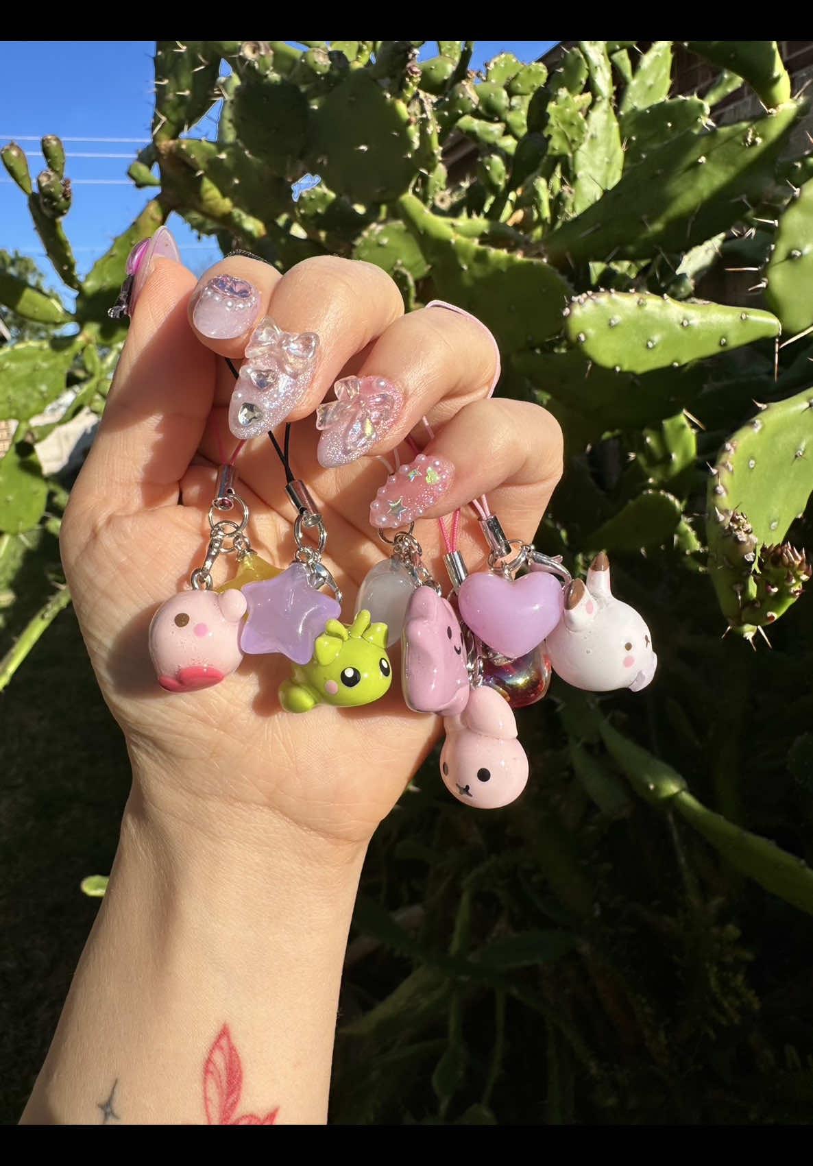 @shopazula