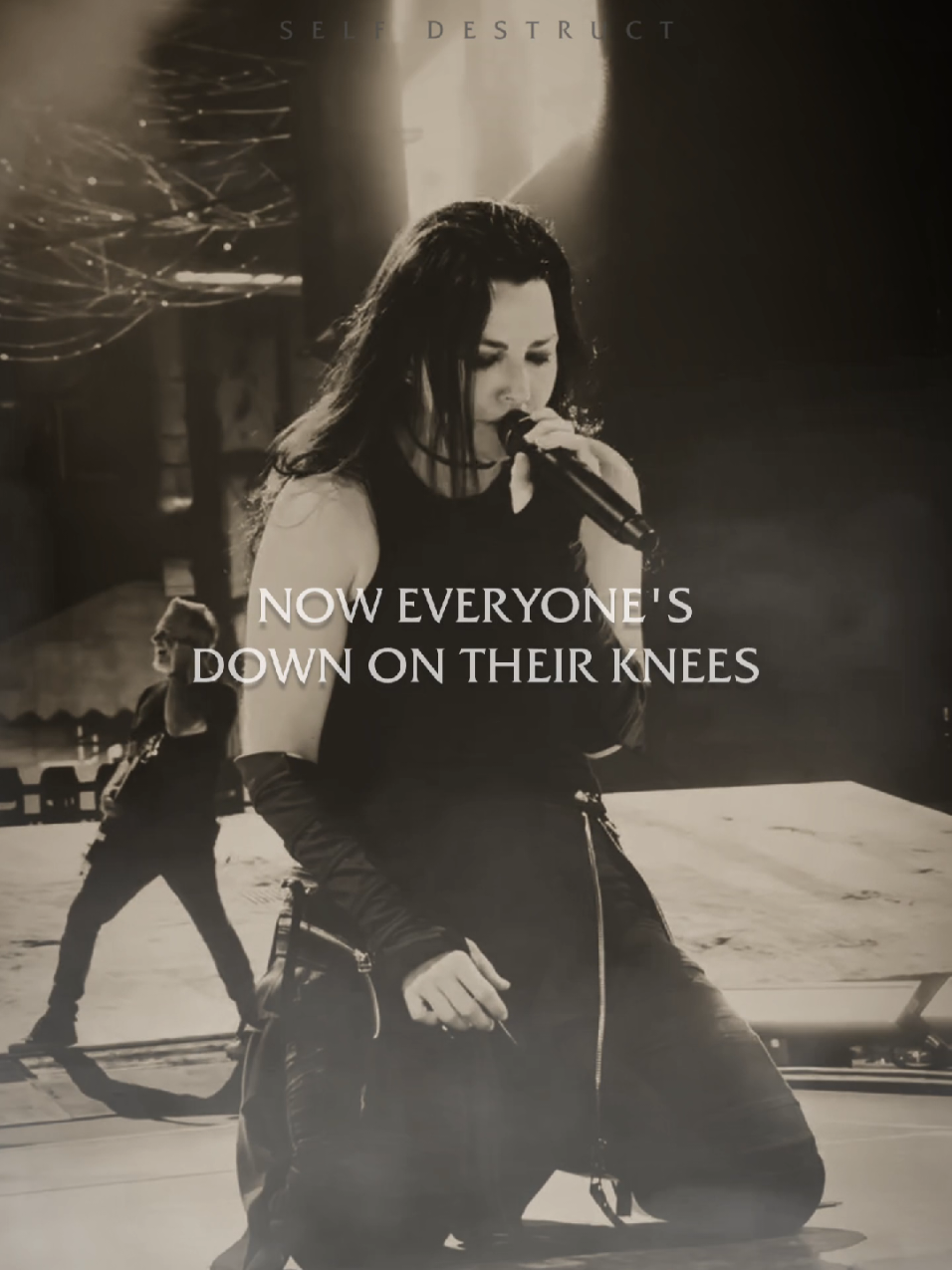 @Evanescence Stories