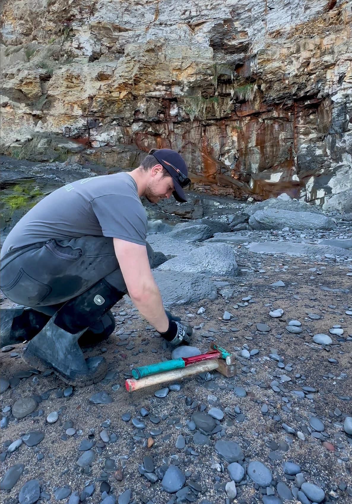 @yorkshire.fossils