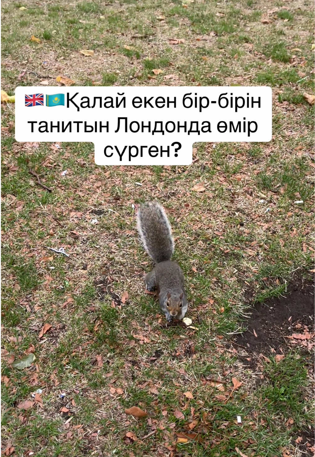 @Balzhan.Sultan🇬🇧🇰🇿