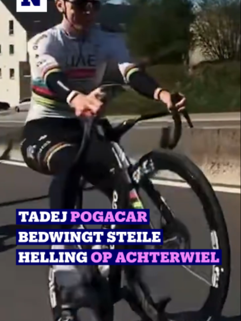 @nieuwsbladsport