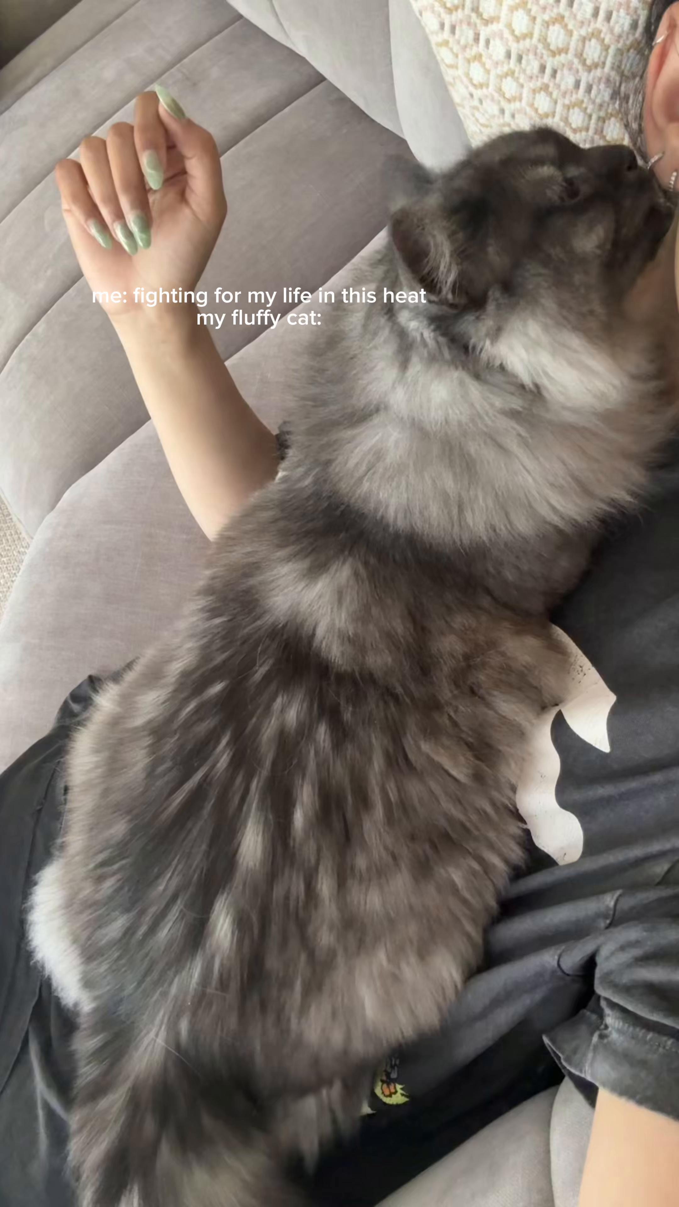 @fizzy