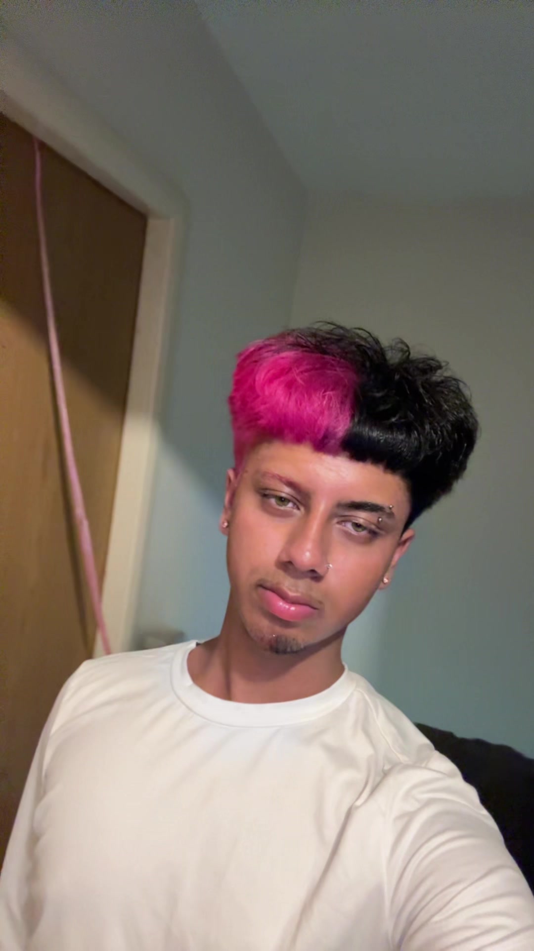 @Shammy 👑