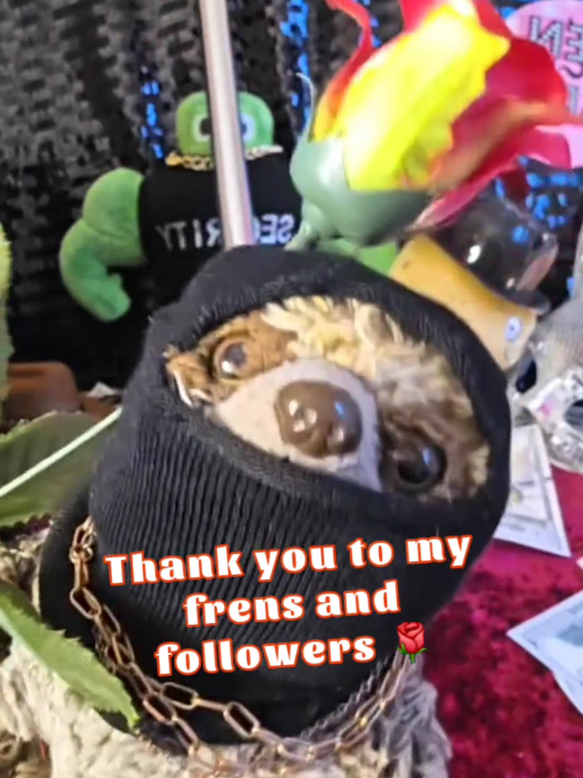 @The Plushie Fam