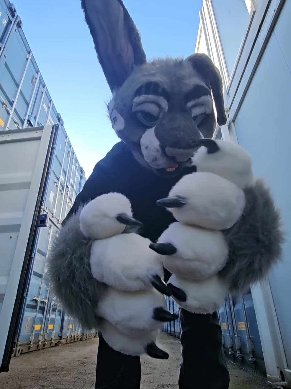 @Difficult Bunny!