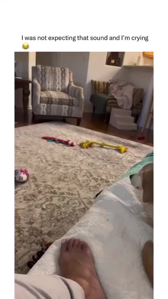@Reposting591