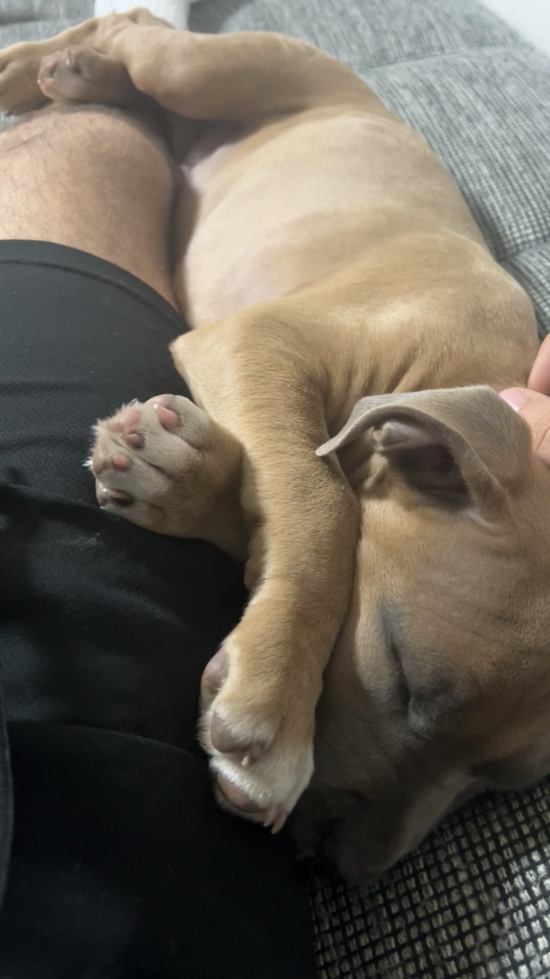 @lifeofpacoo