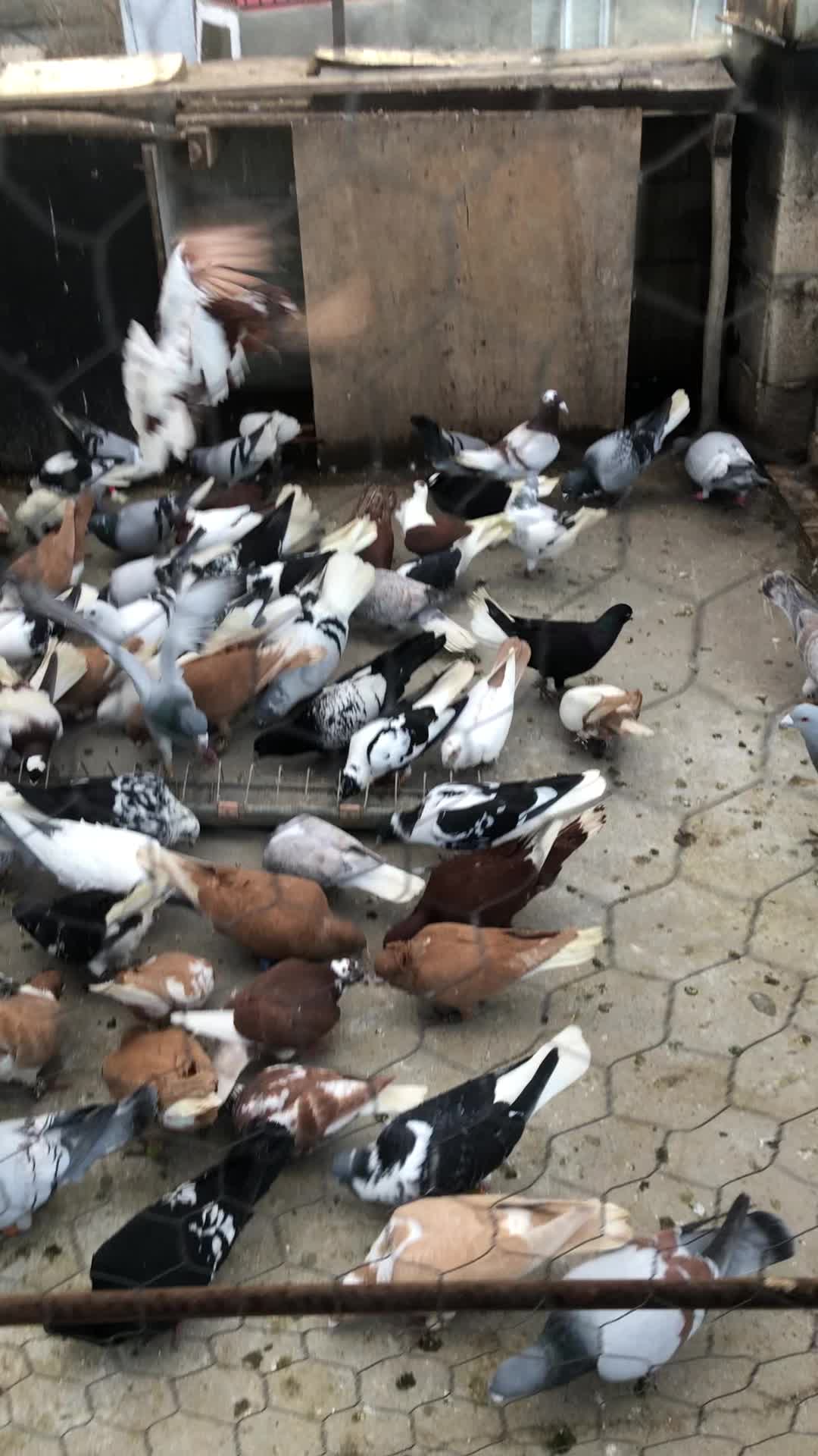 @Serdar kılıç