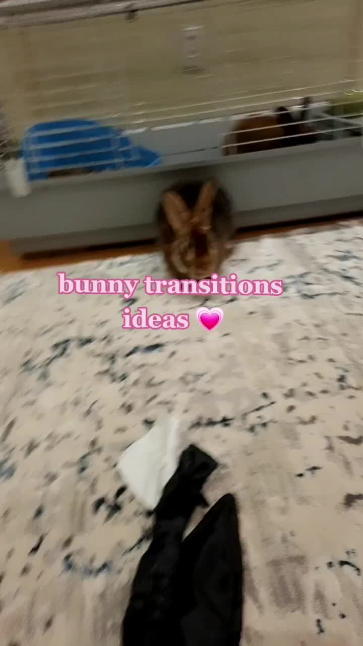 @Leo and Sarah 🐰🐰