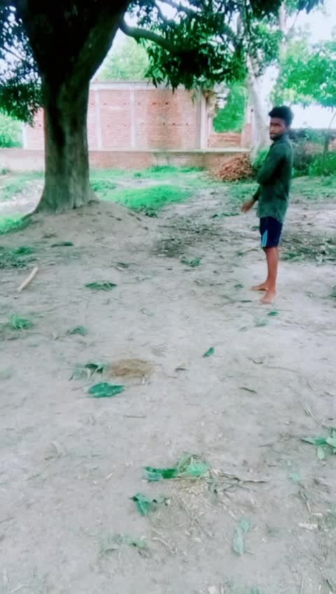@amezing flip