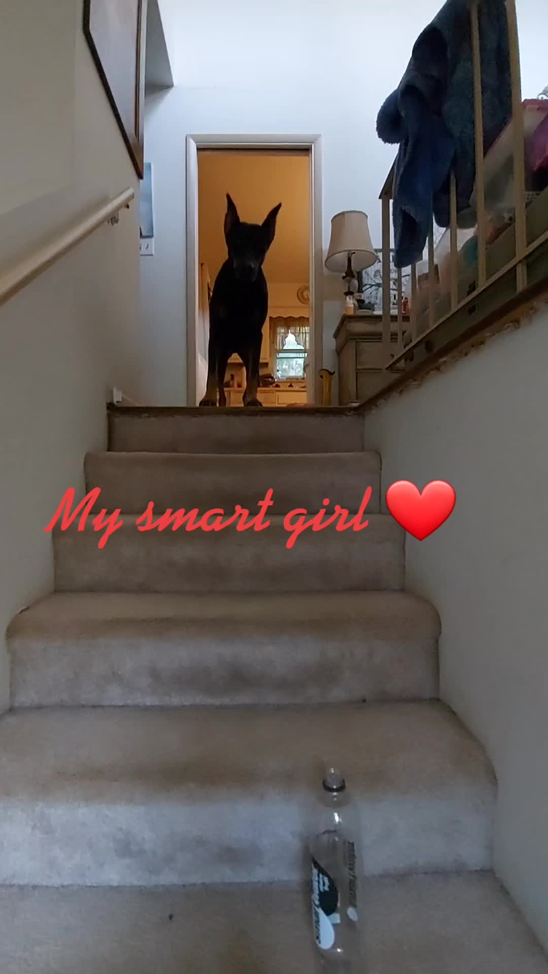 @bethellyn2
