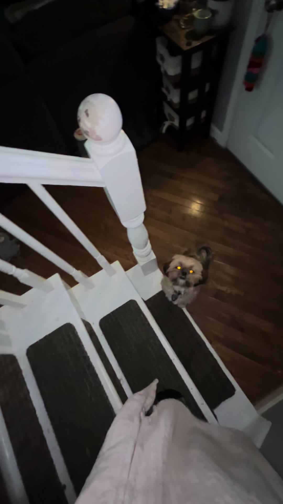 @Duuuviethedog