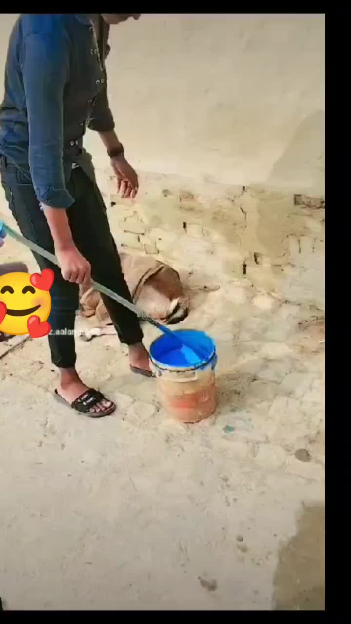 @🤟Maa_ke_Shejada🤟