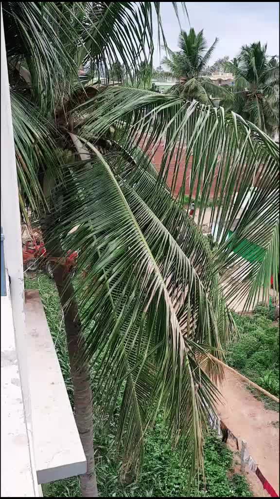 @Ammu1998