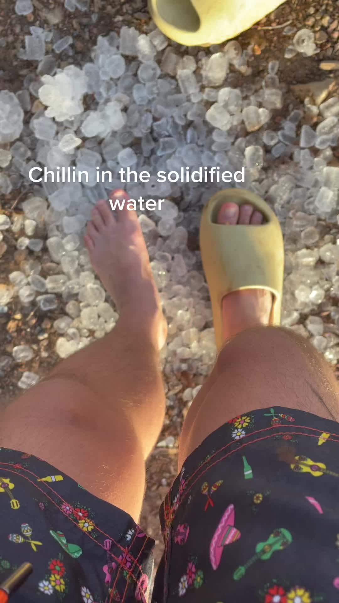 @Cashclanonbottom
