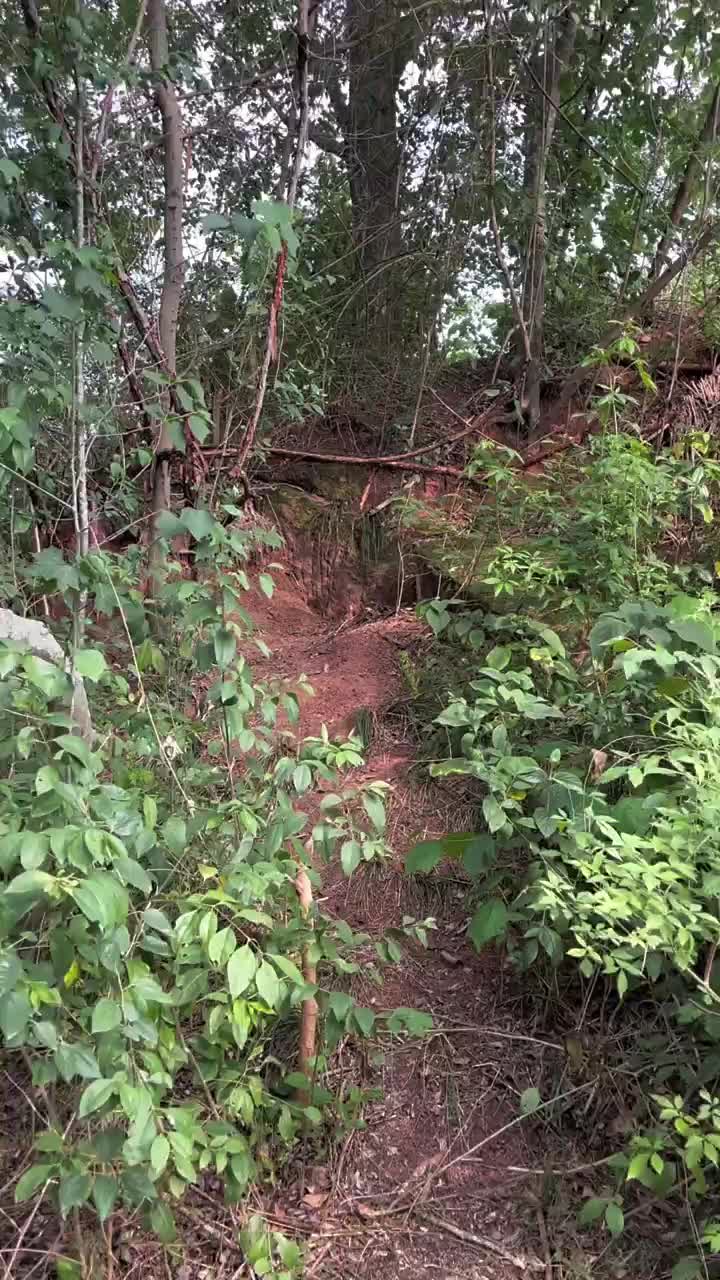 @逸明荒野探墓
