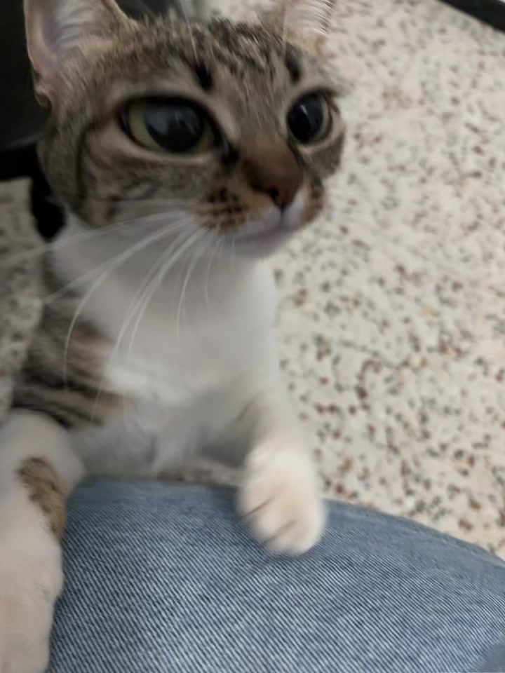 @Vanesa Naranjo Medina