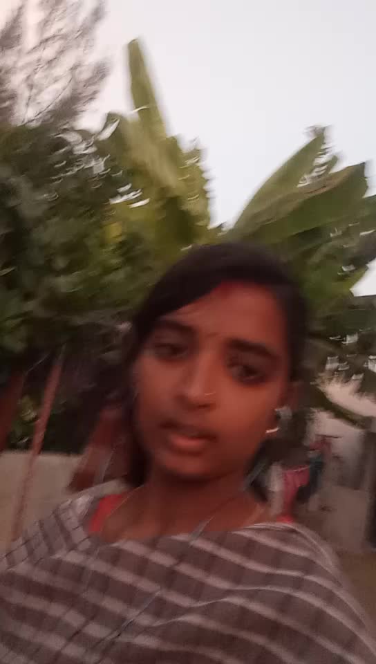 @love birds