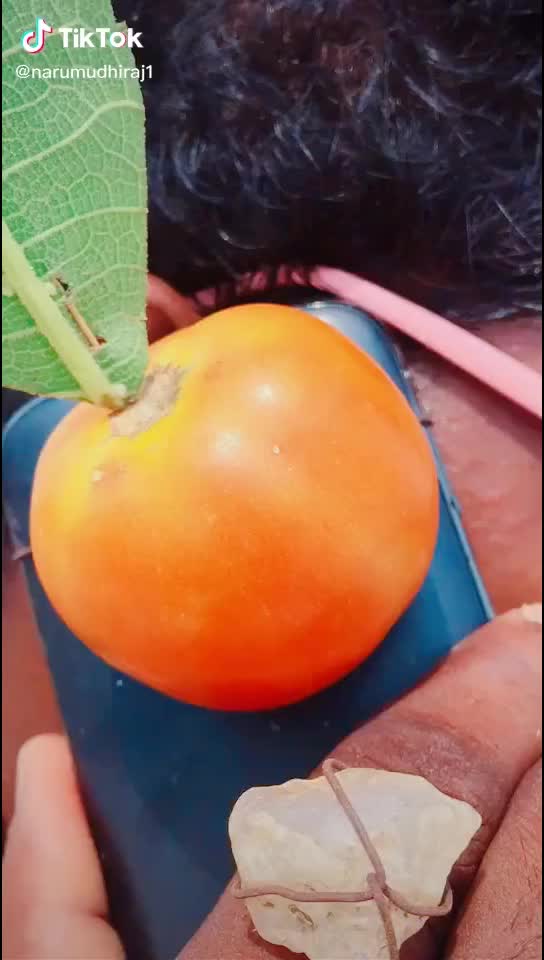 @AMALAPURAM MØSHÉ BÃB