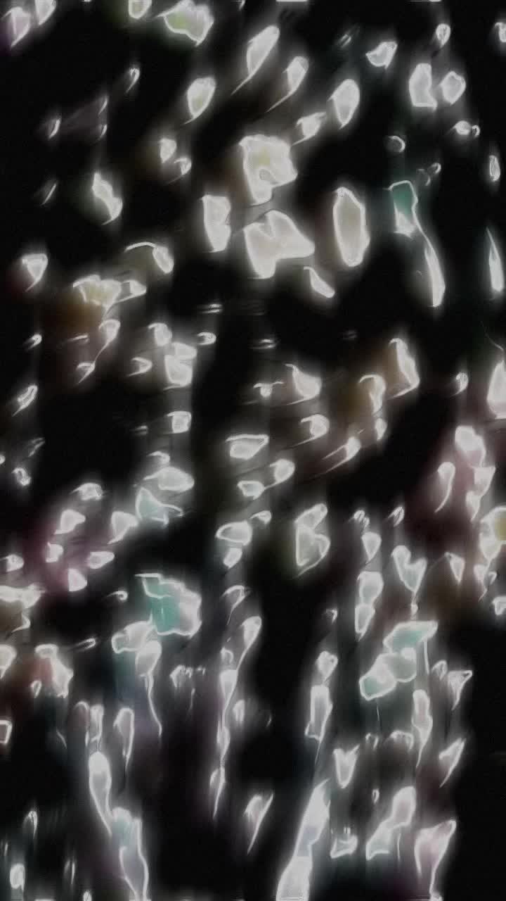 @digyphus
