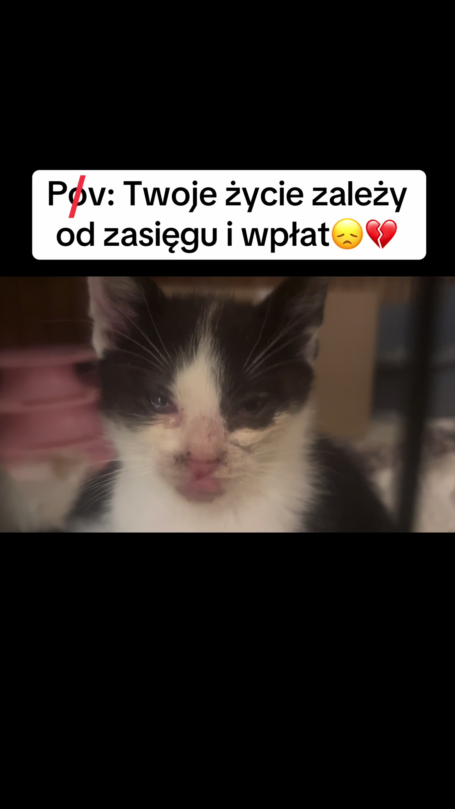 @Ratujemy