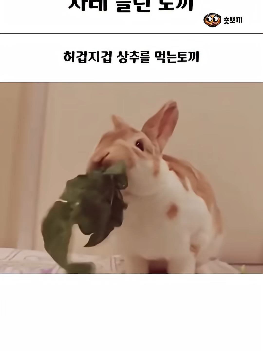 @김땡컨