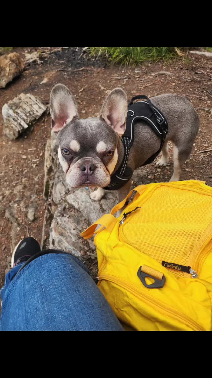 @AdventuresofMumford