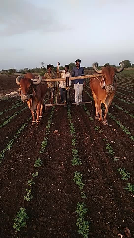@Hardik Jadav