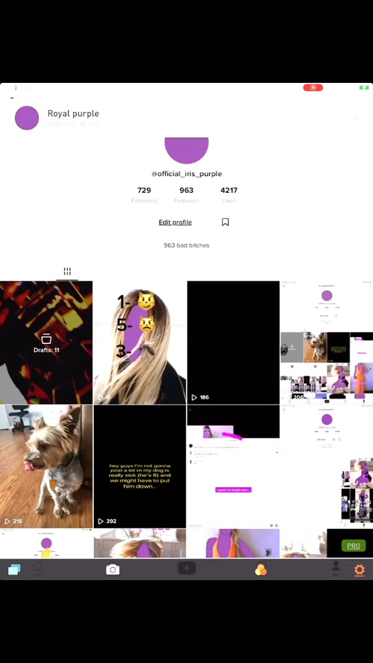 @royal purple/offline
