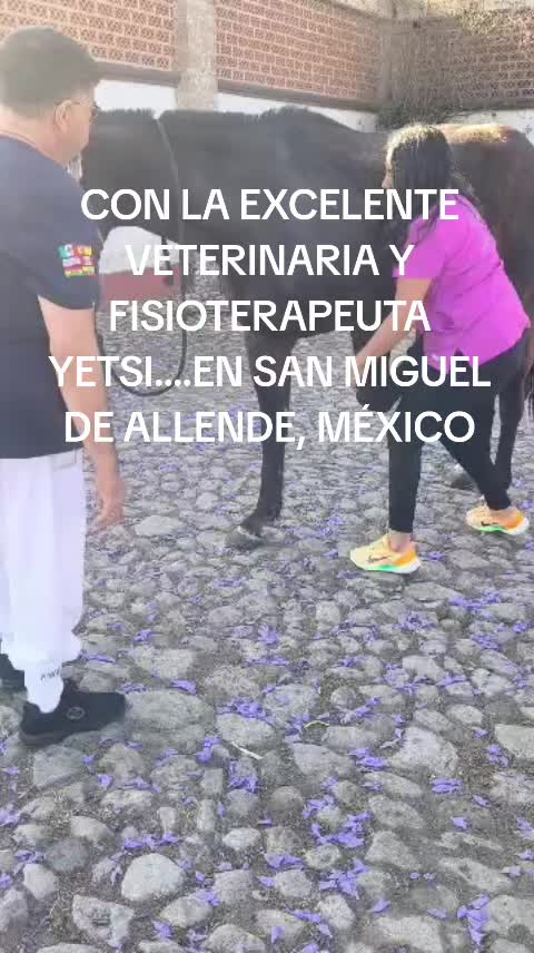 @centrointegralchakra