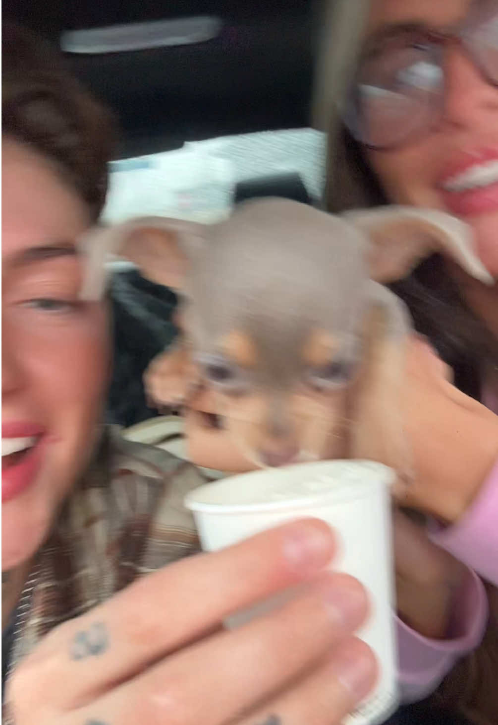 @abbeymyers🌈