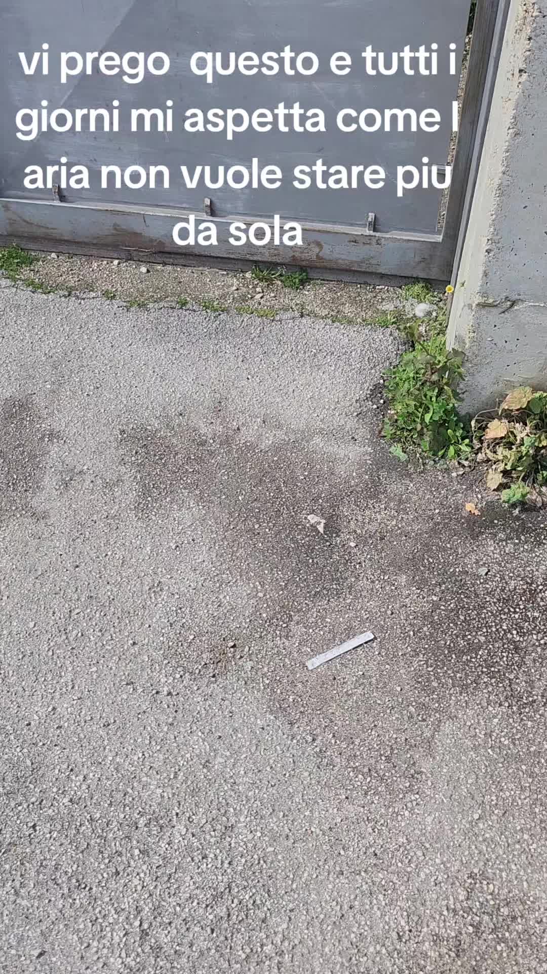 @Gina Boccia