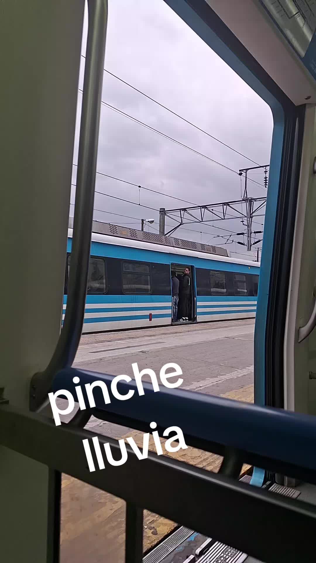 @Daniela Aboyo