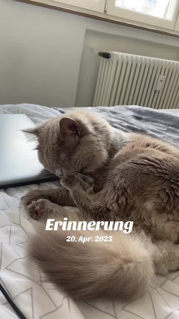 @Simona.Stoyanova