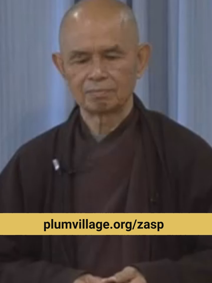 @Plum Village App