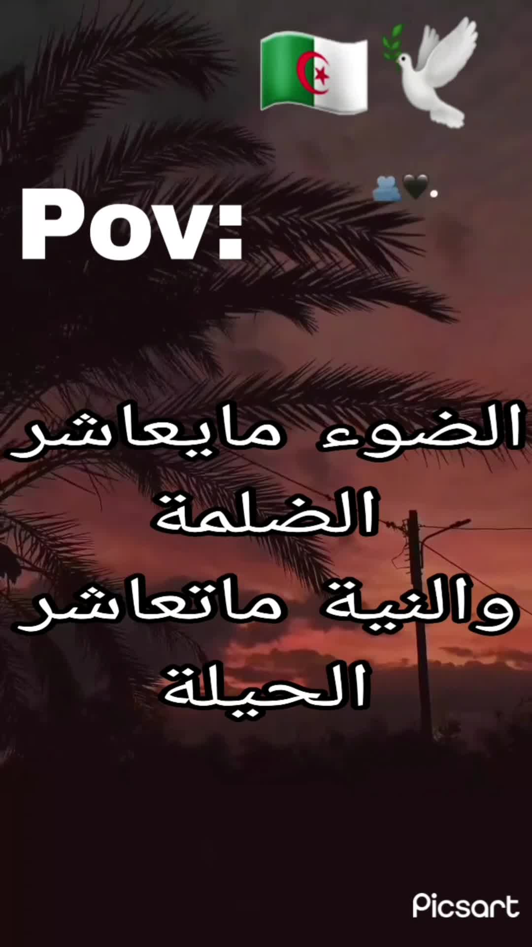 @🇩🇿🕊ستوريات🇩🇿🕊