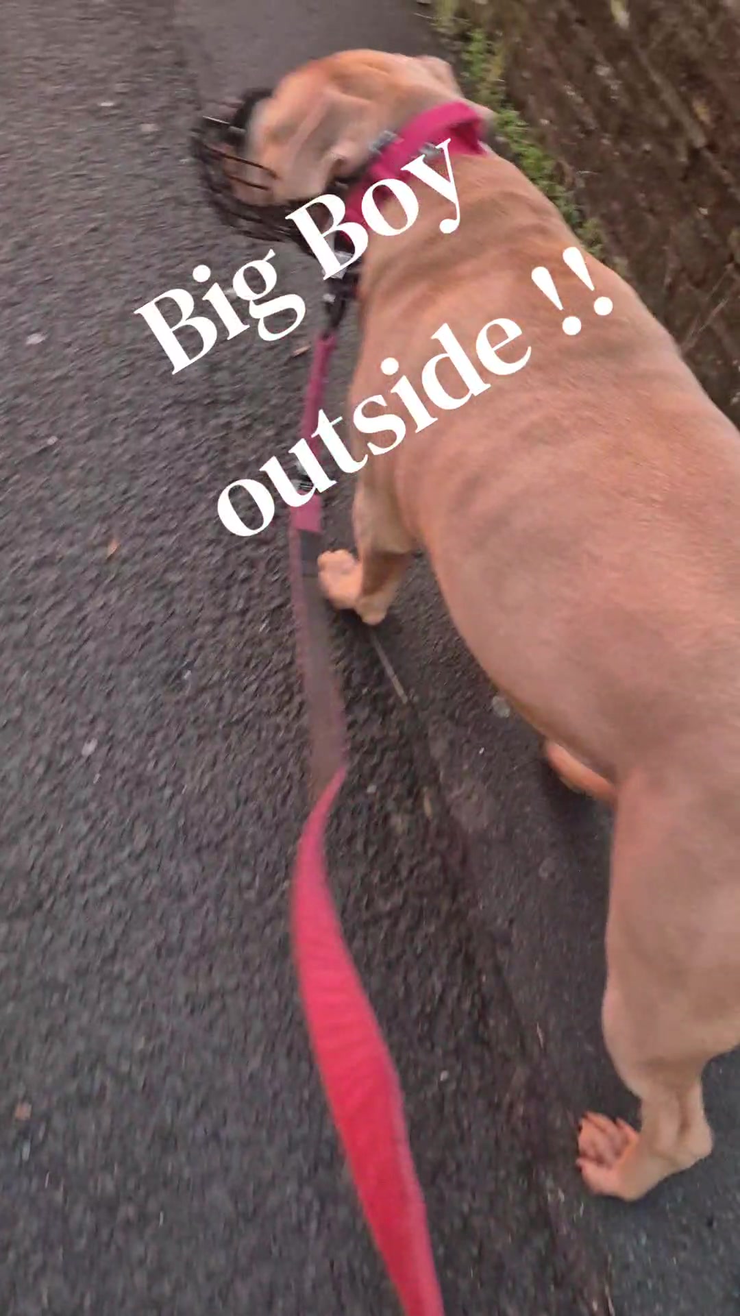 @Zeus.Bella1