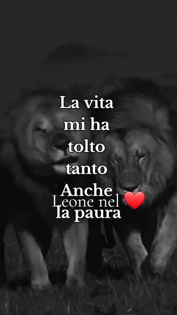 @leone nel ❤