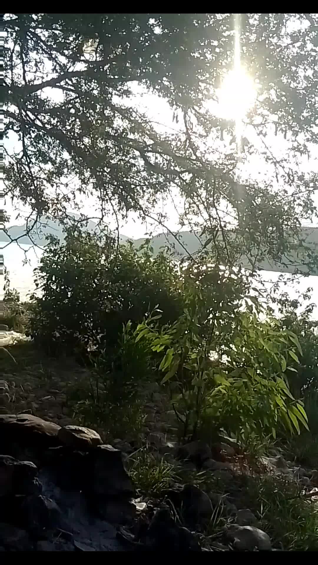 @Kohat_ka_dil