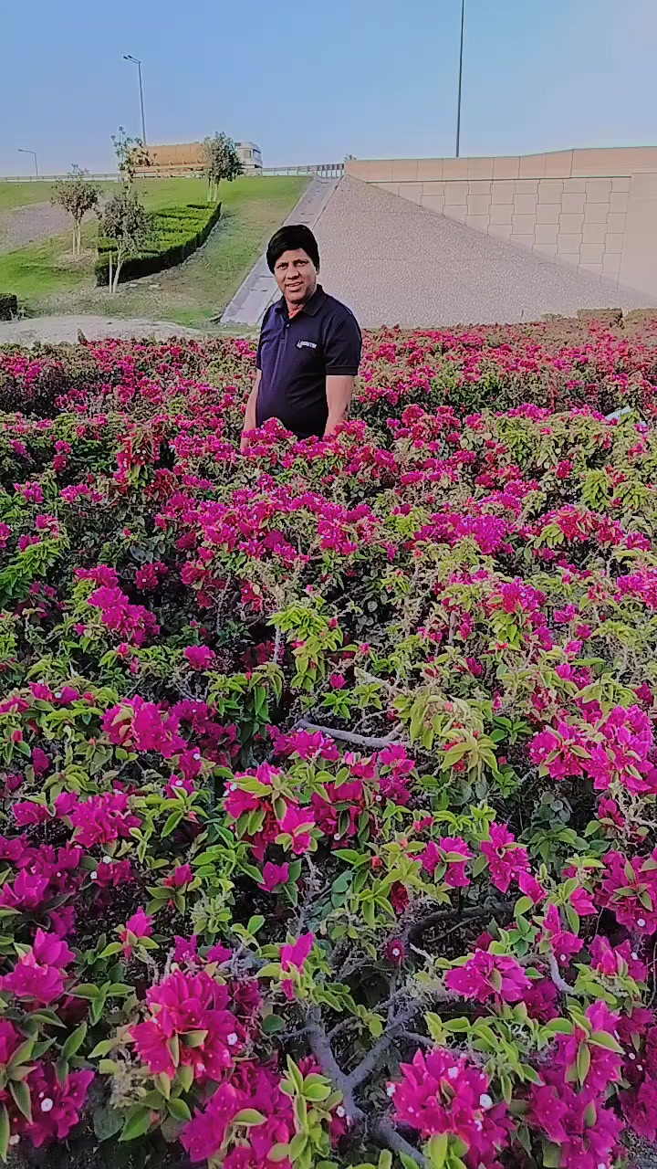 @som nath bhandari