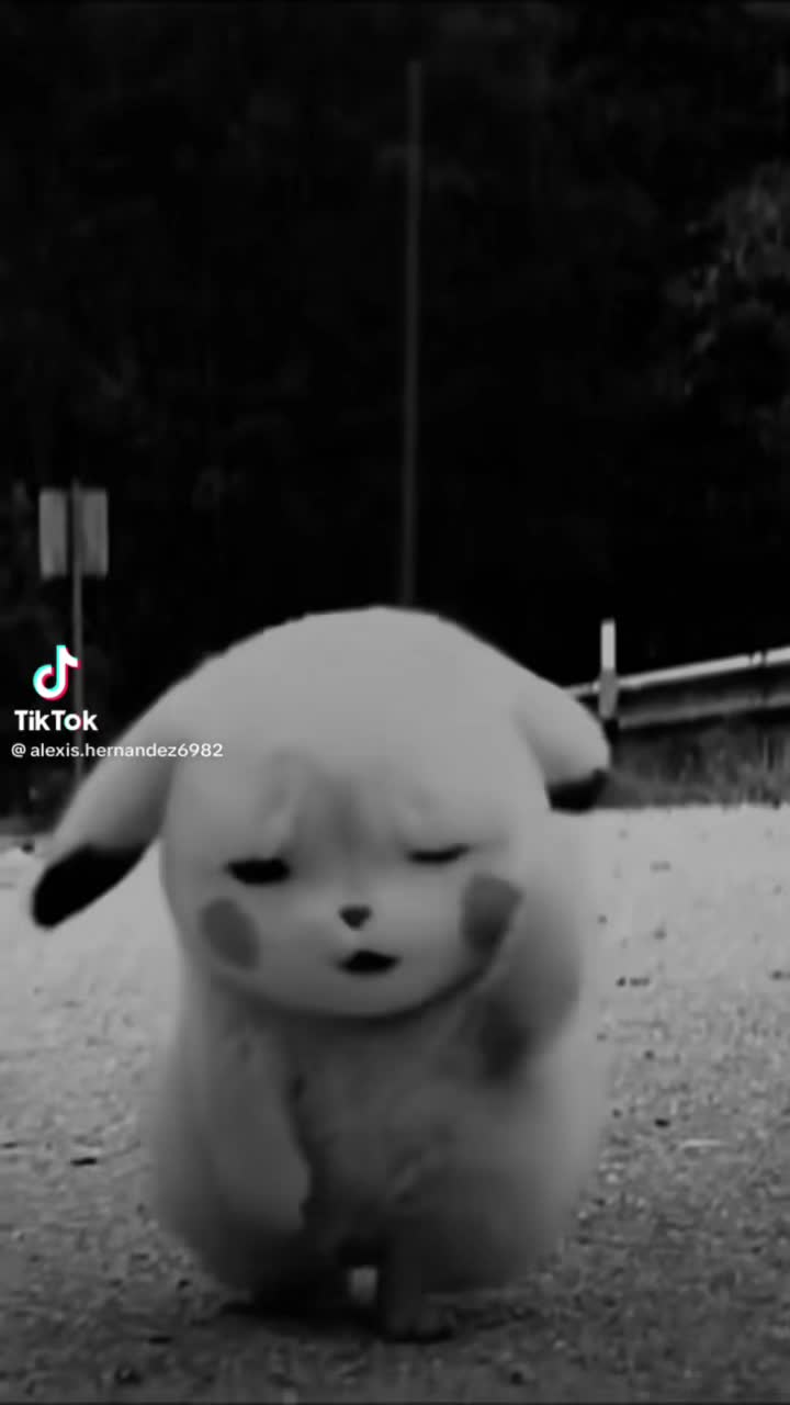 @Koala