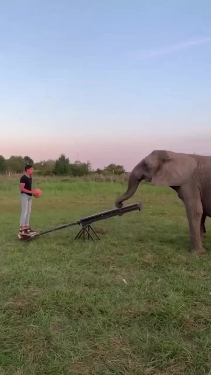 @P A N