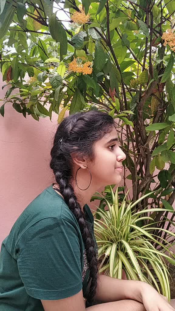 @harshita