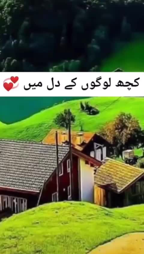 @sairakhan992