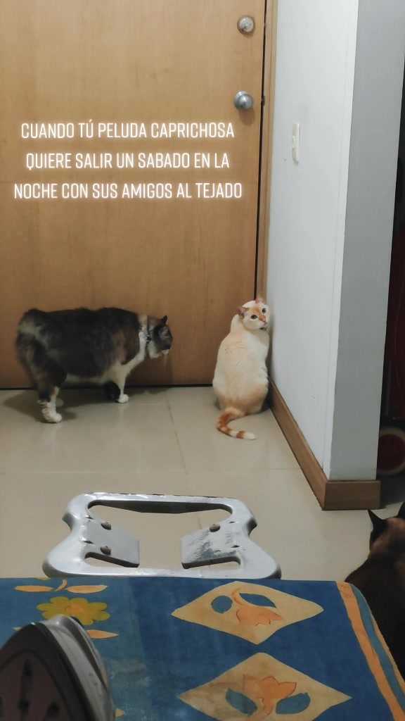 @Suemar5🪽