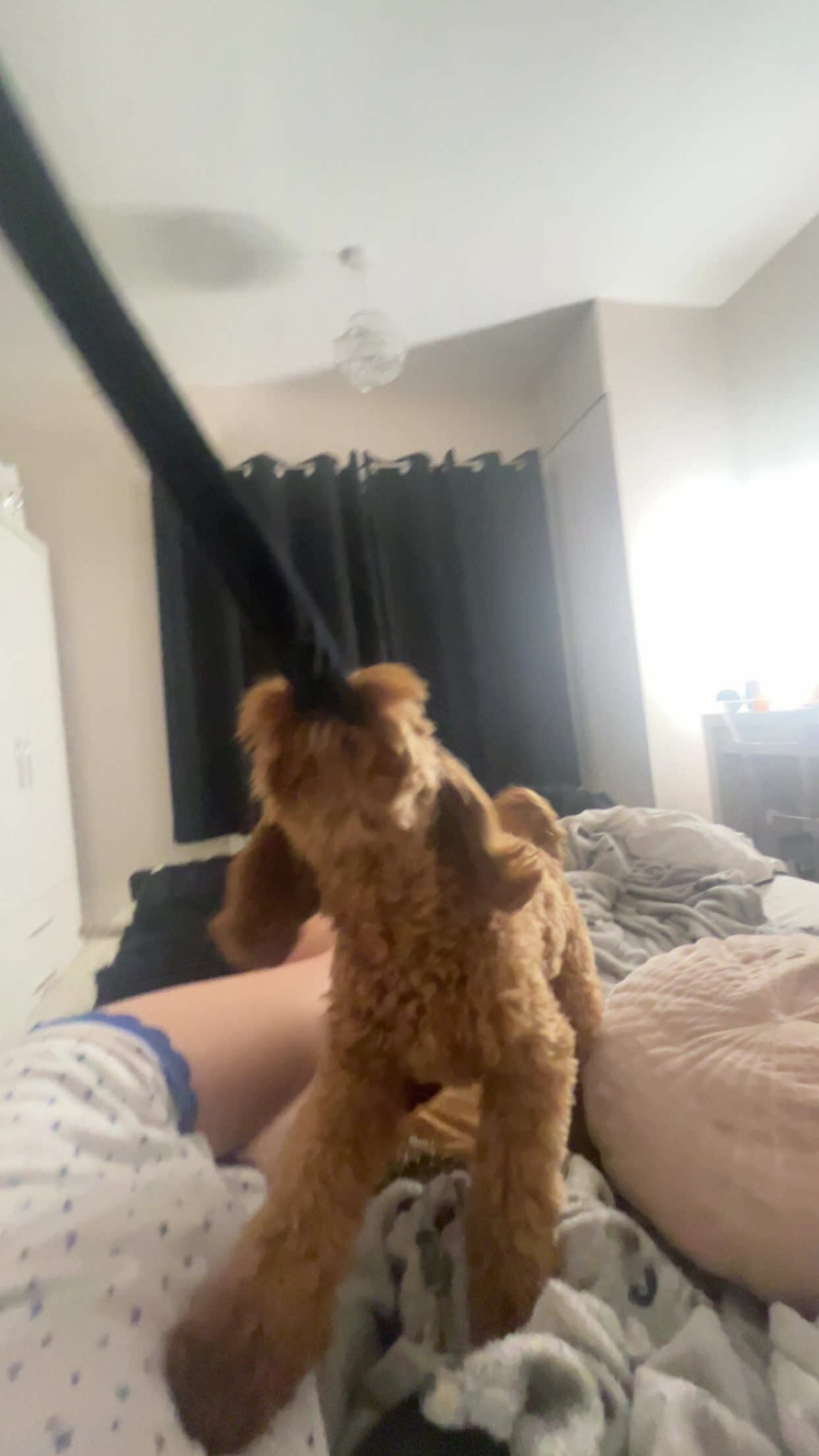 @âď¸đđđŞđđľđŞđâď¸