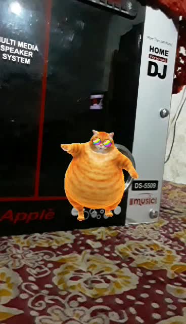 @bhangraking24