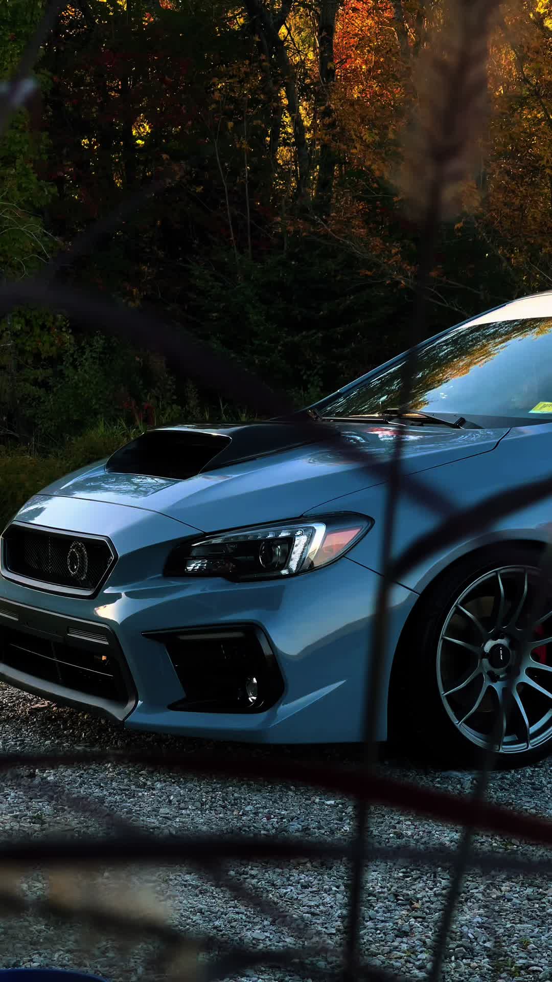 @Kalvien Poe